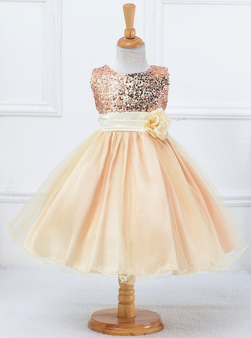 Mesh Paggy Dress